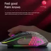 Gaming-Maus, wiederaufladbar, 2,4 G kabellose Maus, 8 Tasten, 1600 DPI, verstellbar, ergonomische RGB-LED-Hintergrundbeleuchtung, Gamer-Maus für Laptop-PC Q230825