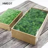 Faux Floral Greenery 1000g Zachowane renifer mchu wieczne życie prawdziwe rośliny ogrodowe ścianę majsterkowania mini kwiaty dekoracja domu 230824