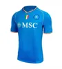 23 24 Kvaratskhelia Napoli Soccer Jerseys Maglietta osimhen Isigne 2023 2024 г. Неаполи Политано ди Лоренцо Маглия Мертенс Верди Милик мужски для детей футбольные рубашки