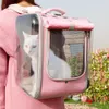 Sac à dos de transport pour guitare et chat, sac à capsules spatiales pour chat, voyage en plein air, sac respirant pour petits chiens et chats, transport portable de fournitures pour animaux de compagnie