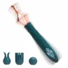 3 In 1 Female Clitoris Replaceable Vibrator G Spot Masturbation Massage Sex Toy for Women Couples Adult Products Erotic