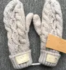 Rękawiczki Designer skóra Five Fingers Rękawice Mazowe Rękawiczki Pluszowe ekran dotykowy Sheepskin Luksusowy Handschuhe Winter Warm Glove