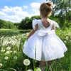 Sparkly Sequined Knee Length Flower Girls Dresses Jewel Neck Feather Sleeve Kids Holy Communion Dress Beaded Bow Tie Short Toddler Birthday Gown