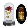 Dekorativa blommor 24k Guldfolie Rose Glass Cover Round Top LED Flower Wedding Valentine's Day Gift Christmull Decoration