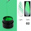 Kits d'art d'ongle Set de vernis à gel d'araignée lumineuse Soak Off pour UV LED DIY Manucure avec
