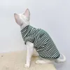 Costumes de chat vêtements mignons automne Sphinx rayé chemise de fond chatons gilet pour Sphynx respirant vêtements pour animaux de compagnie Doven Rex Costume