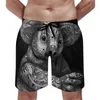 Shorts pour hommes Koala Board Summer Portraits étonnants Dapper Vêtements Rétro Sports de plage Fiess Séchage rapide Maillot de bain personnalisé