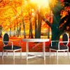 Wallpapers Custom Natural Scenery Wallpaper.Sunlight Through The Woods 3D Po Mural For Living Room Bedroom PVC Wallpaper