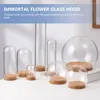 Fleurs décoratives 5 pièces décorations de maison lumineuse pour la maison Simple fleur préservée verre immortel Transparent dôme ornements support délicat