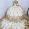 Luxury Gold Appliques Lace Quinceanera Dresses Long Sleeved Vestidos De 15 Anos Ball Gown Formal Birthday Corset Train Party Prom Gown