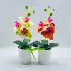 Fiori decorativi Chic Multicolor Fresh Keeping Falso Farfalla Orchidea Bonsai artificiale di lunga durata realizzato a mano per soggiorno