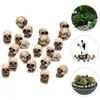 Garden Decorations 20 Pcs Party Layout Head Table Top Decor Desktop Decors Halloween Ornament Resin Tabletop Mini Pots