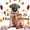 Costumes de chat 10pcs automne chien noeud papillon toilettage cravates de Thanksgiving avec collier réglable citrouille petites fournitures d'automne 230825