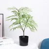 Dekorativa blommor Simulering Växter Cafe Decoration Fern Leaf Pocket Coconut Leaves Poted Without Pot Artificial Green Plant Fake Flower