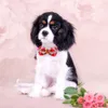 Kat Kostuums 10 STKS Hond Strikjes Lente Fruit Stijl Strikje Kraag Voor Honden Mode Kleine Strikken Verzorgen Accessoires 230825