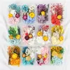 Köp 4 få 1Free Natural Dried Flowers Diy Material Torkade blommor Dekorativa tillbehör Set Torkat handgjorda material HKD230825