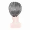 Perruques synthétiques 6 pouces court mixte noir gris synthétique vague droite coupe de cheveux perruques pour jeunes hommes haute température fibre quotidienne votre beauté x0826