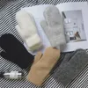 Guantes sin dedos Mujer Invierno Mantener caliente Plus Cashmere Sólido Elasticidad Suave Dedos completos Mitones Guantes Imitación Piel de conejo Punto lindo 230826