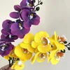 5PC 3D 프린트 영화 Phalaenopsis 인공 꽃 진짜 터치 난초 홈 장식 파티 웨딩 도로 리드 꽃꽂이 꽃다발