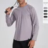 Nouveau T-shirt de sport à manches longues pour hommes absorbant l'humidité et évacuant la transpiration, couleur unie, extensible, fitness en plein air, col rond, costume de yoga à séchage rapide