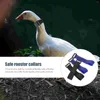 Dog Collars Collar Rooster Anti-crowing Noise Free Poultry Safe Geese Neck Belt Proof Nylon Elastic Waist Band