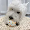 Dog Toys Chews Pet Dog Toy Ball Light Chew Rubber Ball High Elastic Bite Resistance Interactive Throwing Flying Toys for Dogs Pet Accessories 230825