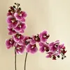 5 Stück 3D-Druckfolie Phalaenopsis Künstliche Blumen Real Touch Orchideen Home Decor Party Hochzeit Straße führt Blumenarrangement Blumenstrauß