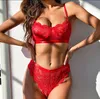 BRAS SET LINGERIE KADIN ÇALIŞMASI SET SEXY Dantel Erotik Kadın Sütyen Pantie 230825