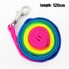 Collari per cani Guinzaglio in nylon resistente e durevole Pettorina in pelle colorata regolabile con accessori per animali domestici da esterno Forniture per strumenti da passeggio