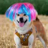 Abbigliamento per cani Accessori per peli di animali domestici Cosplay Parrucche per gatti Cani Copricapo Fibra di nylon Party Gattini Gatti