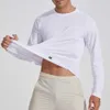 Nouveau T-shirt de sport à manches longues pour hommes absorbant l'humidité et évacuant la transpiration, couleur unie, extensible, fitness en plein air, col rond, costume de yoga à séchage rapide