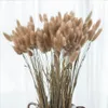 Decorative Flowers Wreaths 50100 Pcs Real Wheat Ear Natural Dried Bunny Tail Grass Decor Boho Home DIY Craft Bouquet Decoration 230825