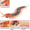 ElectricRC Animals Funny Electronic Pet Remote Controlシミュレーション大手IR RC SCOLOPENDRA CENTIPEDEエイプリルフールズの日トリッキープランク昆虫のおもちゃギフト230825