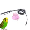 Dog Collars Bird Harness- Parrot Leash Lightweight Elastic Strap Pulling Rope Flying Supplies Harness