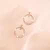 Pläterad 925 Silver Luxury Brand Designers Letters Stud Geometric Famous Women Round Crystal Rhinestone Earring Wedding Perty Jewerlry Circular Diamond ER0125