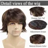 Perruques synthétiques GNIMEGIL synthétique courte perruque bouclée hommes garçon Cosplay fête cheveux bruns naturel moelleux respirant faux cheveux résistant à la chaleur hommes perruque x0826