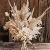 Dekorativa blommor kransar torkade riktiga pampas boho stil bröllop båge brudtärnor gräs blommor bukett blommor bakgrundsdekor 230826