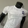 Maillot de football pour hommes, coupe ample, loisirs, vert, blanc, bleu, noir, domicile/extérieur, 2023, 2024