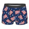 Underpants América Bandeiras Patrióticas Homens Boxer Briefs Shorts Homens Dos Desenhos Animados Anime Engraçado Calcinhas Soft Underwear para