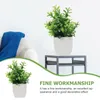 Dekorative Blumen, 4 Stück, künstlicher Topf, Schreibtisch, gefälschte Bonsai-Dekorationen, Kunststoffpflanzen, drinnen, Ornamente, Büro, Tischdekoration