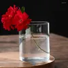 Vasi Vaso da fiori in vetro per decorazioni per la casa Piante decorative da terrario Ornamenti da tavolo fatti a mano piccoli