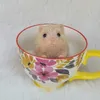 Poppen 4 AVANI POP Full Body siliconen mini-babyhamster Reborn Little Cute 230826