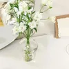 Vases Vase à fleurs en verre pour la décoration de la maison, plantes de Terrarium décoratives, ornements de table séchés petits