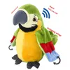 Brinquedo de descompressão elétrica falando papagaio pelúcia pássaro acenando asas bonito cantar engraçado pronúncia animal para crianças presente 230918