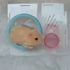 Poupées 4 AVANI DOLL corps complet en silicone Mini bébé Hamster renaître petit mignon 230826