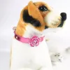 Hundtillbehör Ny produkt Rhinestone Rose Pet Collar Leather Neck Ring 828