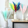 Decorative Flowers Dried Reeds Natural Plants Small Pampas Grass DIY Craft Bouquet Arrangement Wedding Party Decor Christmas For Home Table