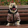 Huisdierhood hoodie sweatshirt jas herfst winter falcon teddy schnauzer puppy dikke jas mode printing trendy huisdierkleding