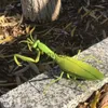 Electric/RC Animals RC Animal Remote Control Toys Insect Toy Infrared Simulation Fly Mantis Electric Toys for Boys Prank Insects Halloween Kids X0828