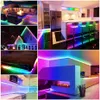 Tuya WiFi LED Neon Strip licht 12V RGBIC Zachte Flexibele LED Strip RGB Dimbaar Chasing Tape IP67 Waterdichte Afstandsbediening Bluetooth HKD230825